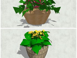 精品陶罐花卉绿植景观小品花钵SU模型设计图下载与植物景观库应用指南