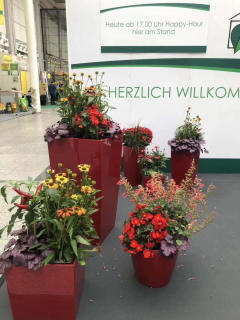 绿色空间定制服务 一站式绿植花卉租赁、园林绿化养护解决方案